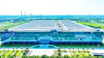 海爾洗衣機(jī)榮膺工信部“2025年度卓越級智能工廠”供應(yīng)鏈管理服務(wù)稱號